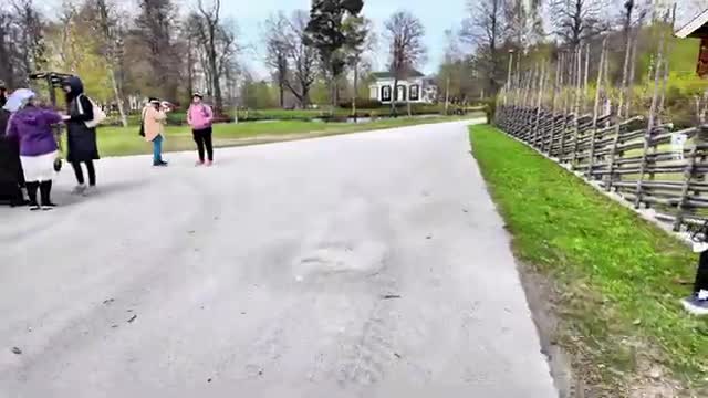 Tecknat Barn Svenska:Högbo Brukshotell & Spa (1858-2024) DVDRIPPEN (Svenska) Trailer (3D)