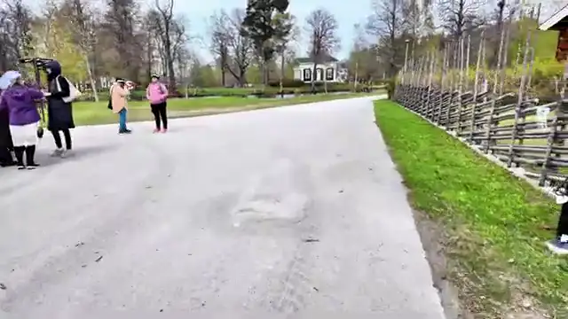 Tecknat Barn Svenska:Högbo Brukshotell & Spa (1858-2024) DVDRIPPEN (Svenska) Trailer (4D)