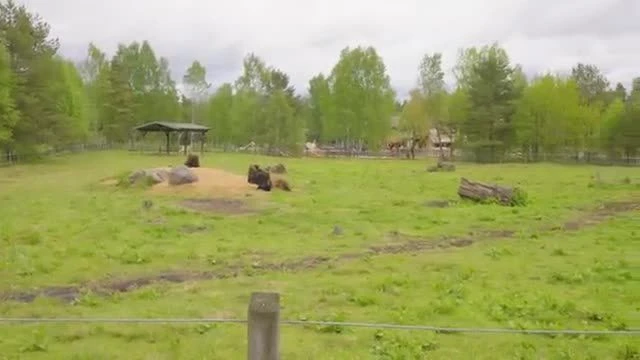 Tecknat Barn Svenska:High Chaparral (1966-2026) DVDRIPPEN (Svenska) Välkommen Till High Chaparral