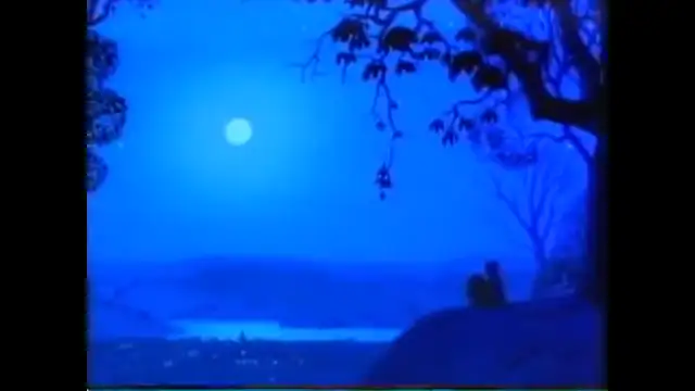 Tecknat Barn Svenska:Djungelboken (1967 Walt Disney Home Video AB) DVDRIPPEN (Svenska) Opening Scene och End Scene